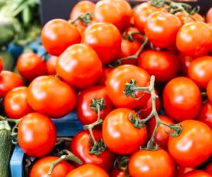 تولید ۲۸۰ هزار تن گوجه فرنگی در مناطق معتدل کرمانشاه