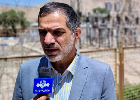 همکاری صنایع و ادارات در پیک تابستان امسال ضروری است