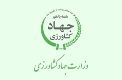 با خرید توافقی مرغ مازاد و پرداخت نقدینگی به مرغداران هیچ عذری را برای کاهش تولید در استان نمی پذیریم