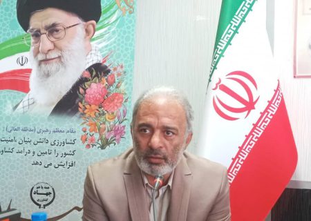 تکذیب افزایش قیمت روغن خوراکی و برنج وارداتی