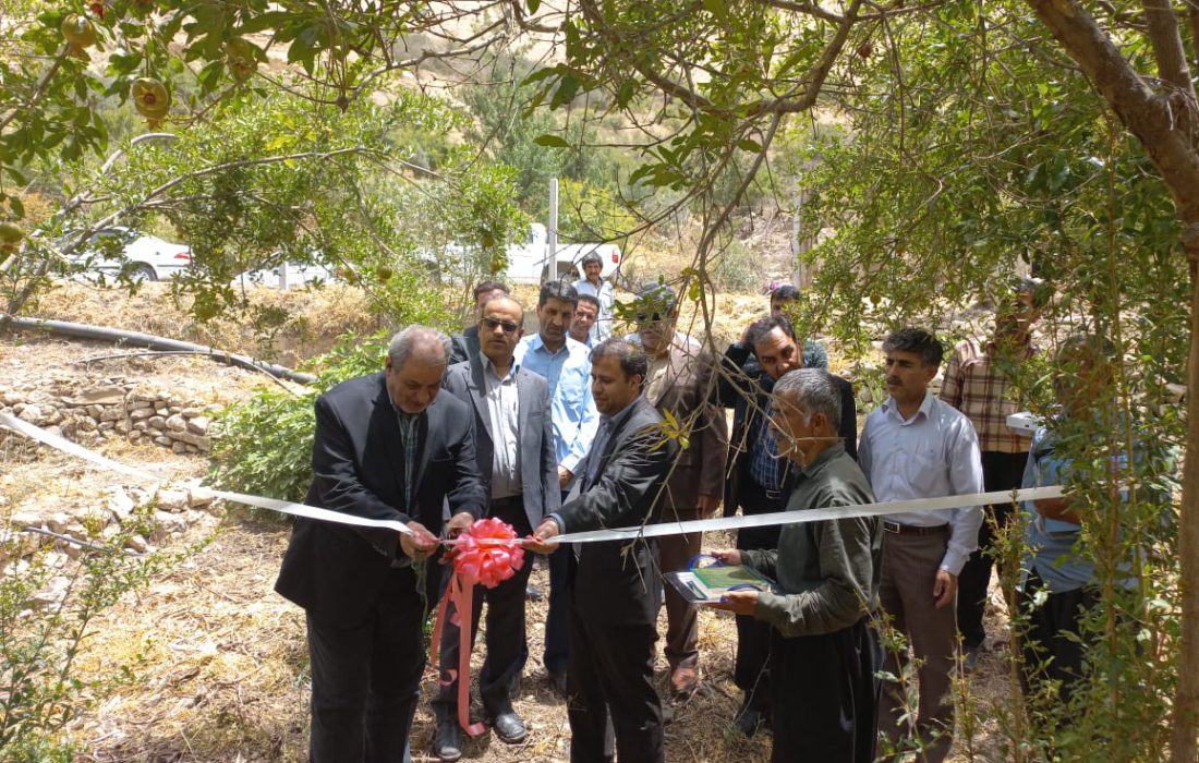 افتتاح سیستم آبرسانی به ۲۰۰هکتار از باغات دالاهو