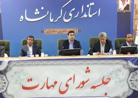 مهارت آموزی باید متناسب با نیازهای بازار کار باشد / برخی فرصت‌های شغلی به دلیل کمبود کارگر ماهر در اختیار نیروهای غیربومی قرار می گیرد