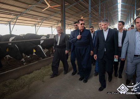 بازدید وزیر جهاد کشاورزی از شرکت دامپروری شیری هزار راسی کاوات روانسر