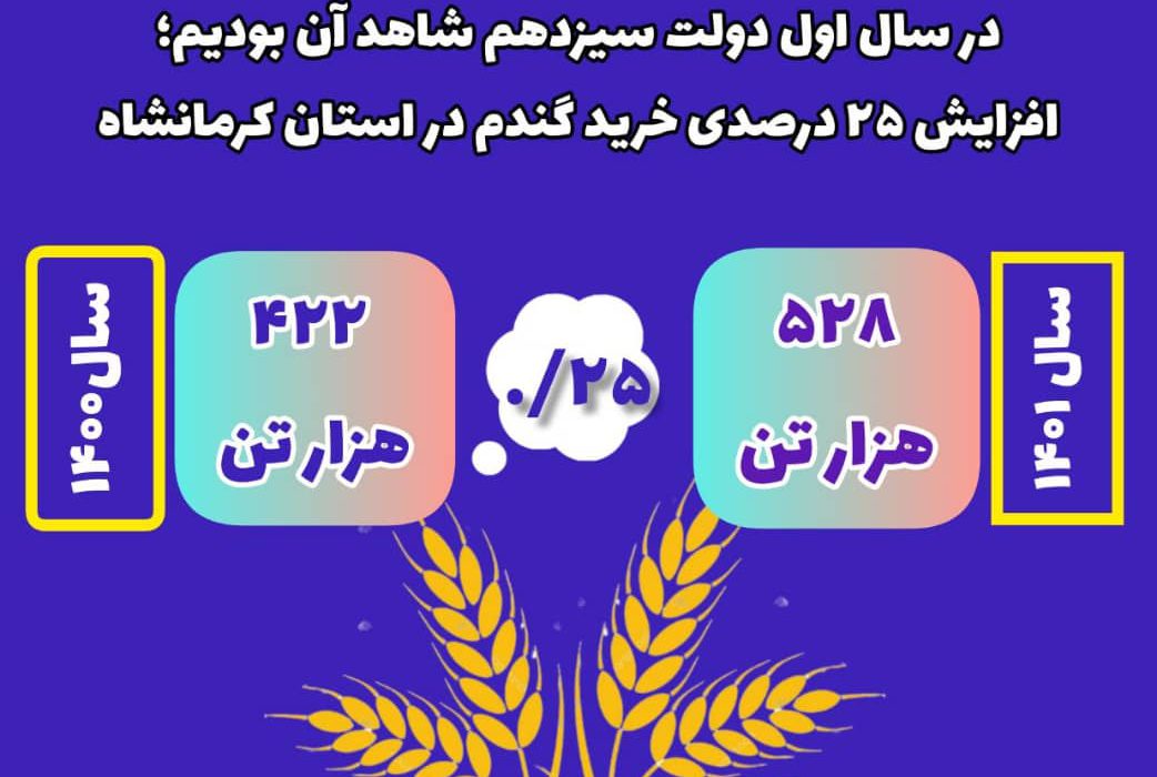 افزایش ۲۵ درصدی خرید تضمینی و توافقی گندم در استان کرمانشاه در سال اول دولت سیزدهم