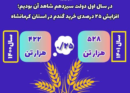 افزایش ۲۵ درصدی خرید تضمینی و توافقی گندم در استان کرمانشاه در سال اول دولت سیزدهم