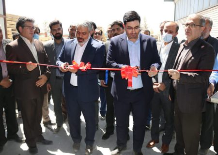 فاز سوم طرح توسعه کاشی بیستون افتتاح شد