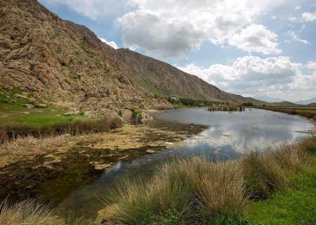 امسال پرندگان مهاجر به تالاب هشیلان نیامدند