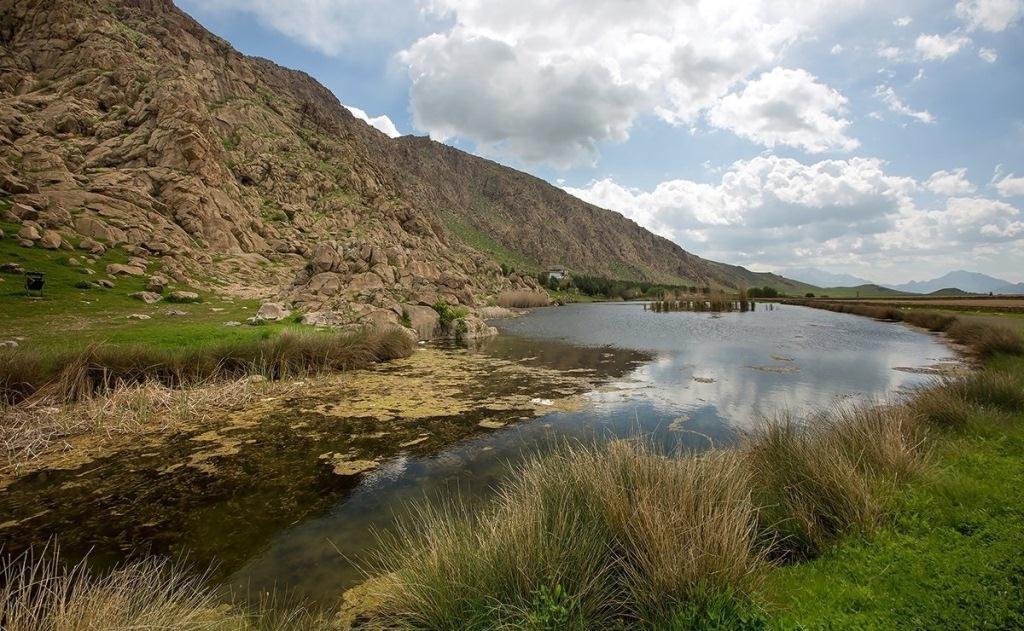 امسال پرندگان مهاجر به تالاب هشیلان نیامدند