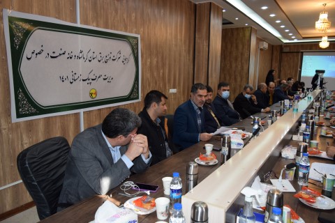 11/5 درصد مصرف برق استان کرمانشاه در اختیار صنایع است