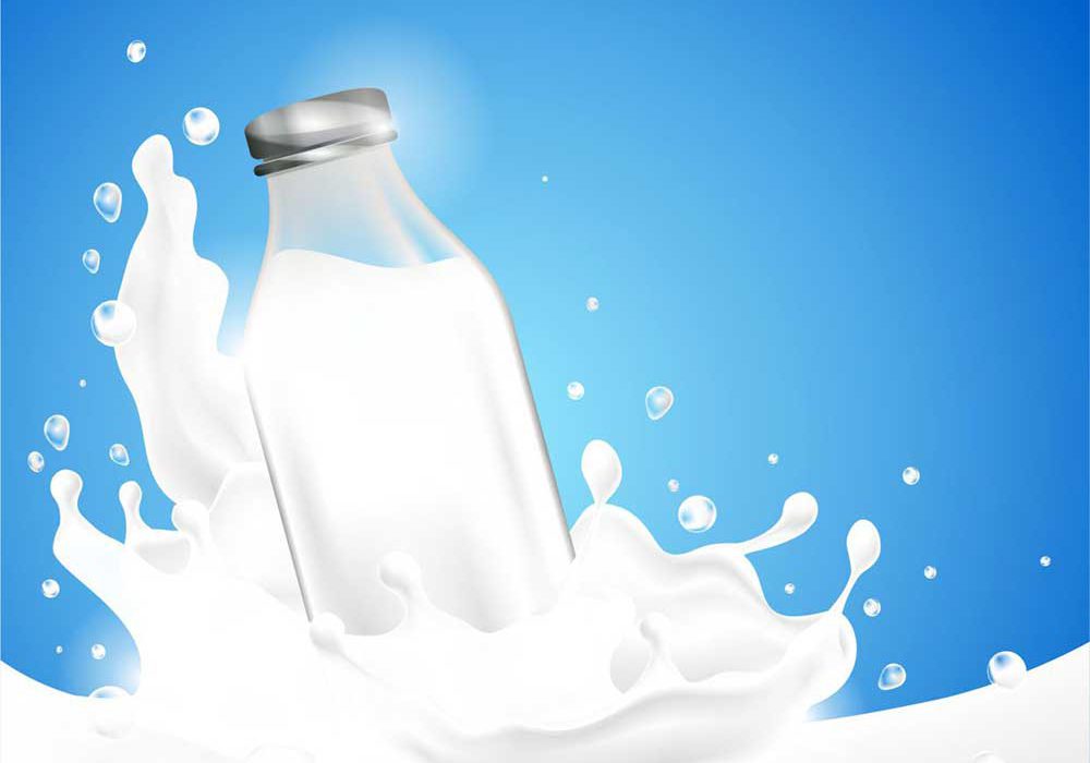 شیر یا شیر؟!