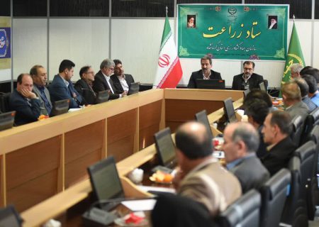 برای حمایت از کشاورزان به دنبال نهادینه سازی کشت قراردادی در کشور هستیم