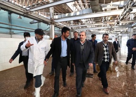 بازار گوشت کرمانشاه نیازمند ساماندهی است