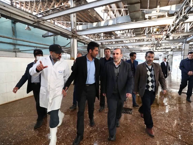 بازار گوشت کرمانشاه نیازمند ساماندهی است