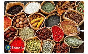 ایران در زمره ۸ کشور برتر دنیا از نظر تولیدات گیاهان دارویی قرار دارد