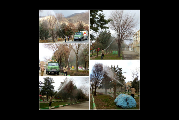 شروع عملیات سمپاشی زمستانه درختان با روغن وُلک در کرمانشاه