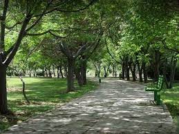 بوستان های جدیدی درحال احداث است