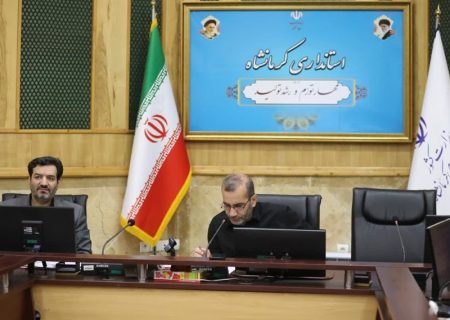 درخواست استاندار کرمانشاه از وزیر اقتصاد و ارائه یک پیشنهاد برای موفقیت طرح مولدسازی