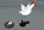 مرغ بر بالا و زیر آن سایه‌اش