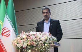 نخود سهم بسزایی در اراضی دیم استان دارد