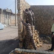 اجرای 9 مورد عملیات رفع تصرف اراضی توسط یگان حفاظت اراضی اداره کل راه و شهرسازی استان کرمانشاه