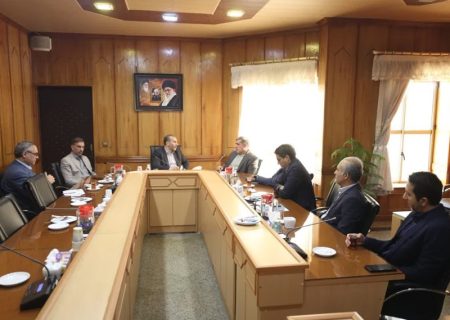 استقبال رئیس بنیاد مسکن از ایده کاهش طبقات و هزینه های طرح