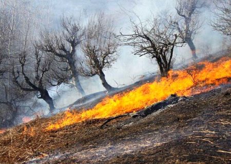 کاهش ۹۸ درصدی آتش‌سوزی در جنگل‌ها و مراتع استان کرمانشاه