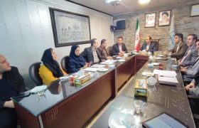 برنامه راهبردی توسعه گردشگری سلامت کرمانشاه تدوین می‌شود