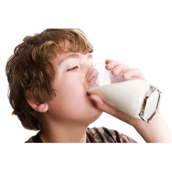 شیر، میان وعده ای مناسب برای افزایش یادگیری دانش آموزان است