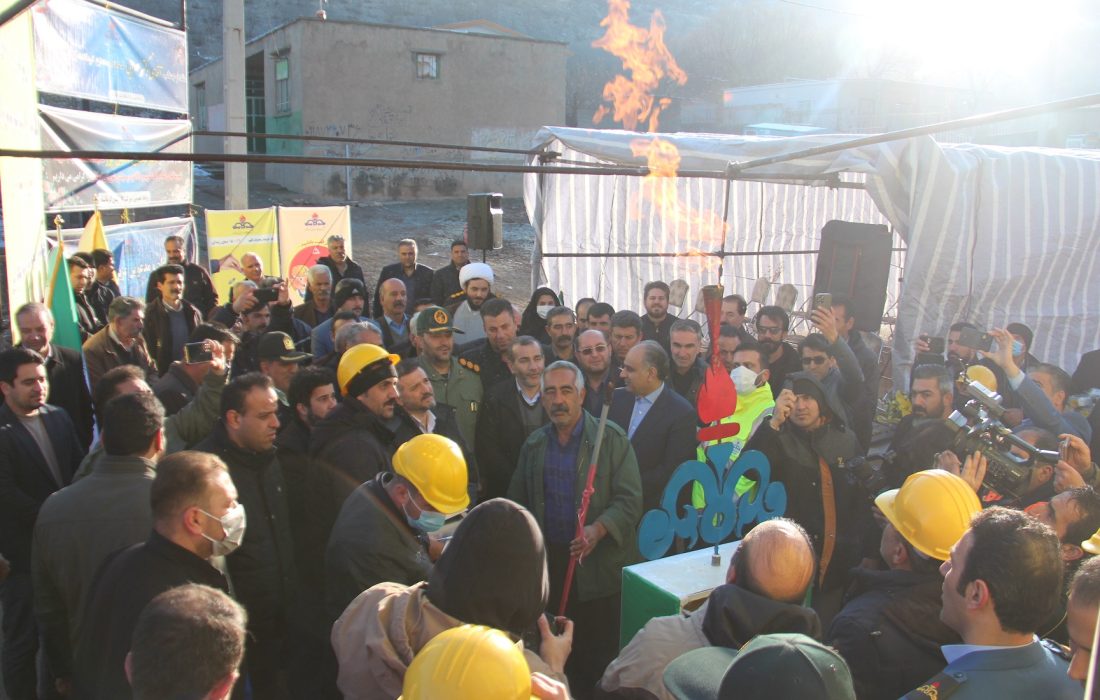 دالاهو هم سبز شد