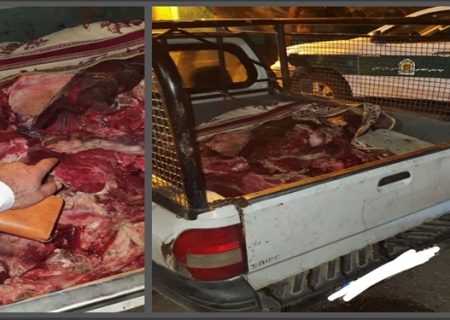 توقیف خودرو حامل لاشه کشتار غیر مجاز در شهرستان کنگاور