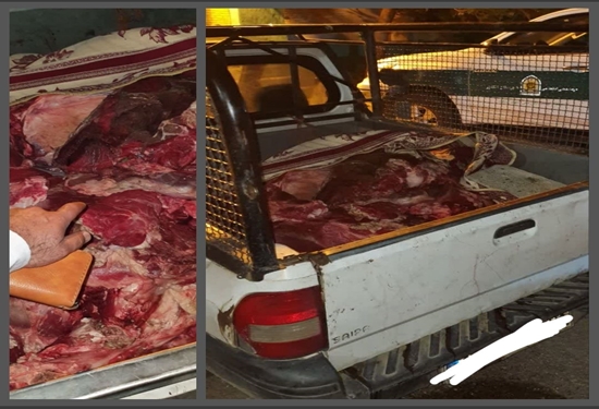 توقیف خودرو حامل لاشه کشتار غیر مجاز در شهرستان کنگاور