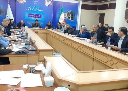 سرانه مصرف ماهانه آرد ۸ کیلوگرم است