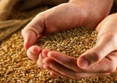 قیمت جدید گندم اعلام شد