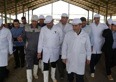 بازدید رئیس بنیاد مستضعفان و استاندار کرمانشاه از گاوداری ۳ هزار راسی ماهیدشت