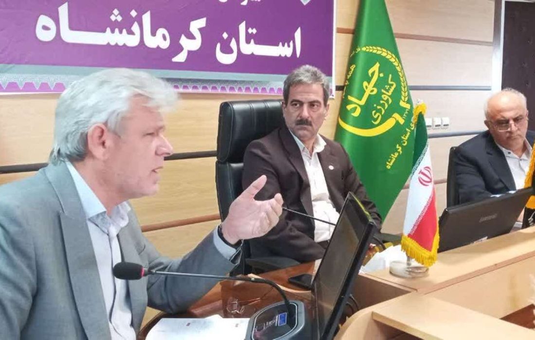 بررسی مسائل و مشکلات خرید چغندر در سازمان جهاد کشاورزی استان کرمانشاه