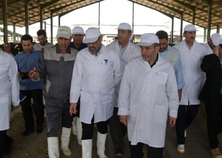 توافق برای افزایش سرمایه‌گذاری بنیاد در استان
