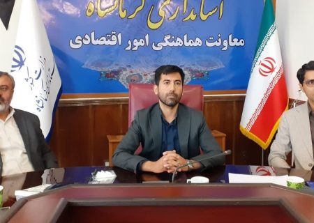 احیای ۱۷۱ واحد اقتصادی استان کرمانشاه در دولت سیزدهم