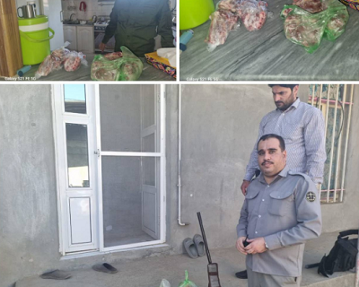کشف و ضبط ۱۲ کیلوگرم گوشت کل وحشی شکار شده از شکارچی غیر مجاز شهرستان صحنه