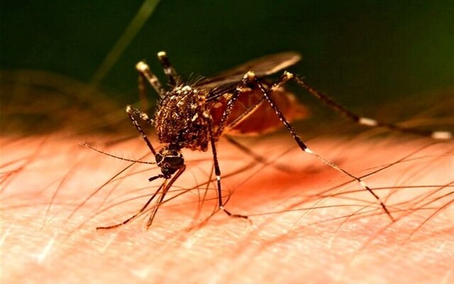 راههای انتقال وعلائم تبدِنگی