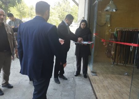 افتتاح کارگاه چرم دست دوز در شهرستان صحنه کرمانشاه