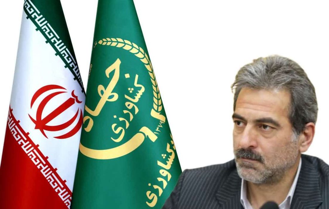 تولید ۸ هزار و ۴۰۰ تن کلزا در استان کرمانشاه