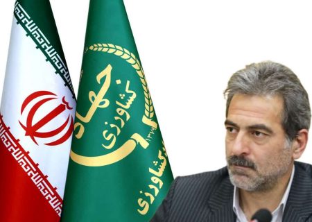 تولید ۸ هزار و ۴۰۰ تن کلزا در استان کرمانشاه