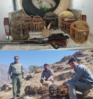 دستگیری۶ نفر از متخلفین شکار و صید در شهرستان پاوه
