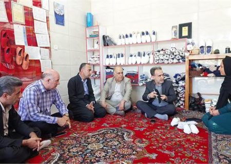 بازدید سرپرست اداره کل تعاون، کار و رفاه اجتماعی استان کرمانشاه از تعاونی های شهرستان پاوه