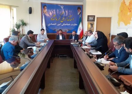 کرمانشاه از پیشتازان در اجرای طرح هوشمندسازی توزیع آرد خام‌پز