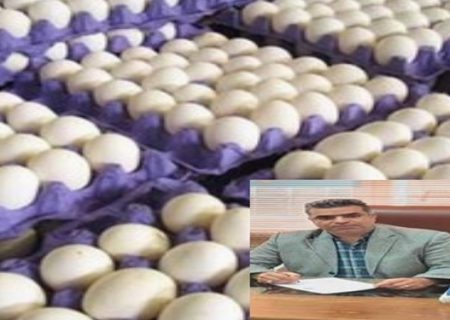 کشف و امحاء ۸۴۳۴ کیلو گرم تخم مرغ فاقد هویت و فاقد شرایط ارگانولپتیکی