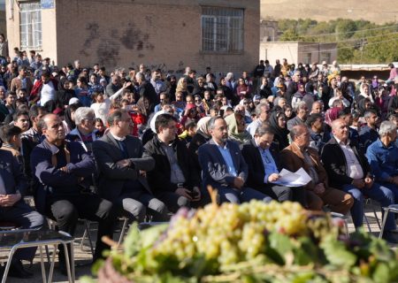 جشنواره انگور روستای کندوله کرمانشاه برگزار شد/ جشنواره انگور کندوله در تقویم رویدادهای استان کرمانشاه ثبت می‌شود