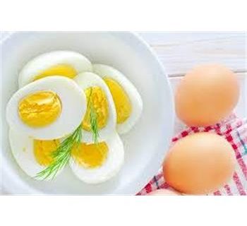 استانداردی برای مقایسه سایر پروتئینها در معجزه ای به نام تخم مرغ