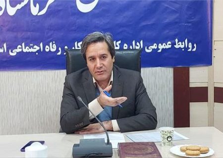 ۵۹۰ فرصت شغلی با پرداخت تسهیلات مشاغل خانگی در استان کرمانشاه ایجاد شد