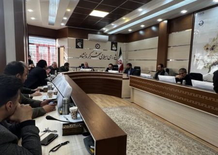 «هاشم درویشی» رییس شورا شد